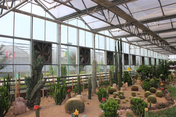 Venlo Glass Greenhouse