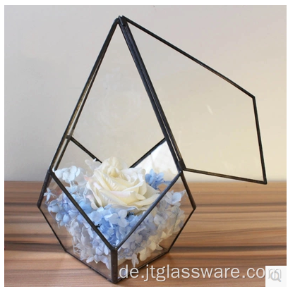 Pflanzen Glas Terrarium Geometrisch Pentagon Farn Moos