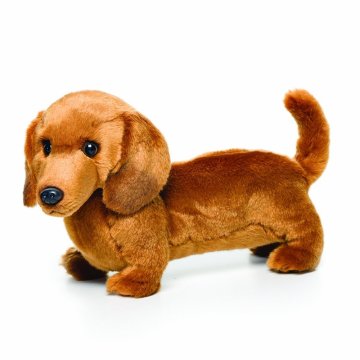 plush toy dog dachshund, plush dog