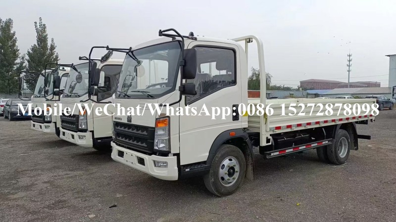 Camión de carga de Howo (13) HOWO Cargo Truck (13)