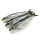 Bevroren vis zeevruchten bevroren sardine
