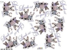 Glass bead heat transfer paper,hot fix motif