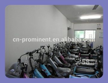 Prominent tourist car