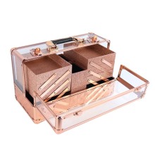 Professional Gold Travel 6 Tray Clear Transparent Makeup Storage Box - Aluminum Acrylic Case