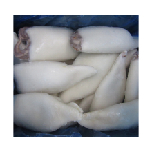 Hot selling frozen illex whole cleaned squid iqf, delicious cleaned whole cleaned squids