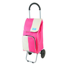 Foldable shopping trolley carts