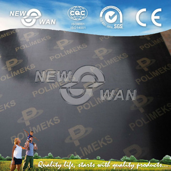 Film Faced Plywood with Brand name Printed Plywood