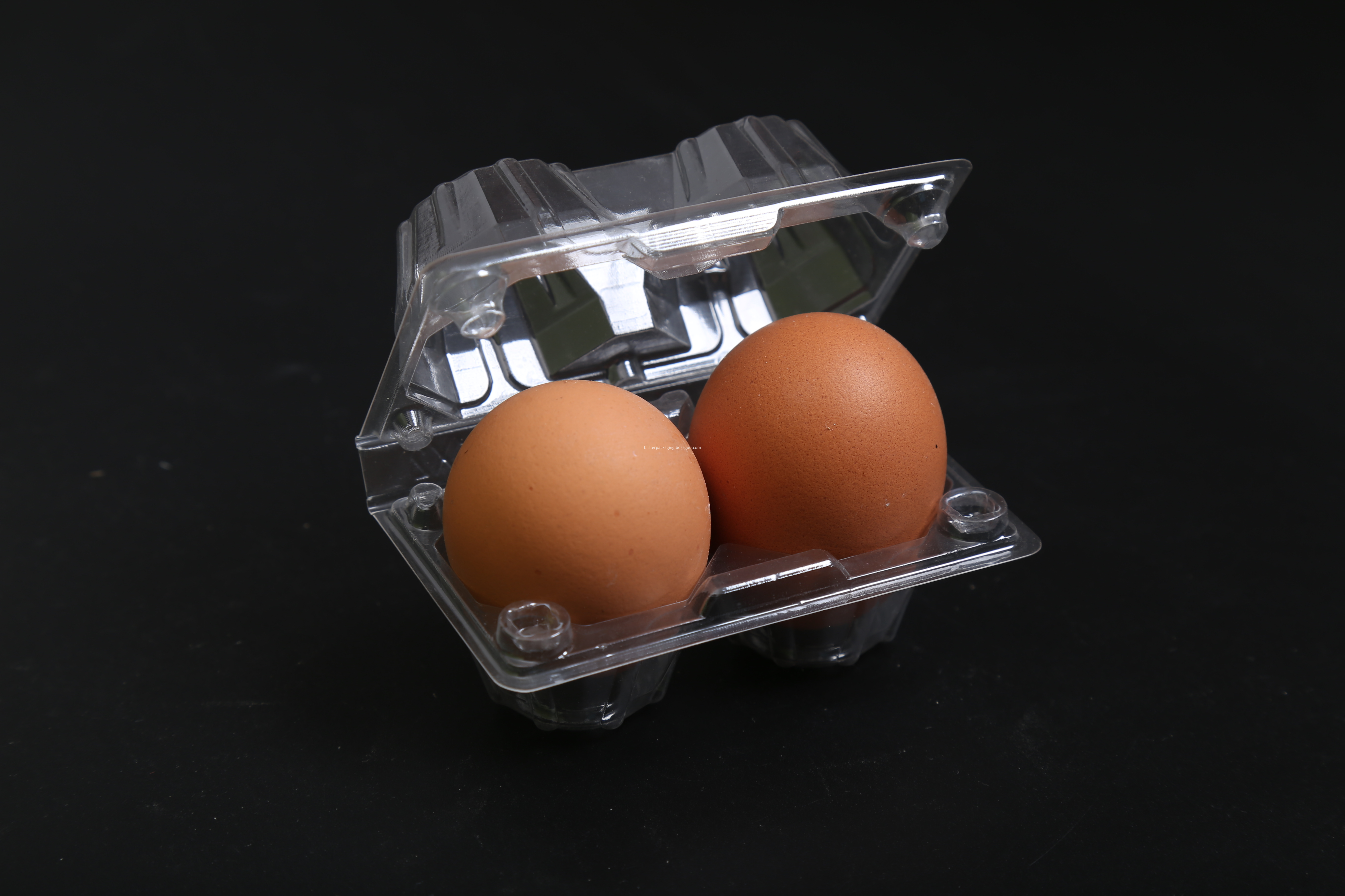 chicken eggs cartons