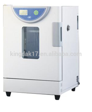 BPH-9162 150L electric heated constant temperature incubator