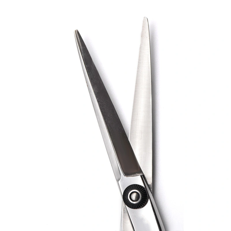 Hair Scissors for Professional Hair Cutting