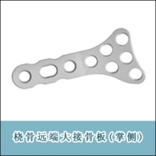 Orthopedic Implants(Volar Distal Radius Plates, Large)