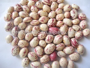 Xinjiang round light speckled kidney bean/LSKB