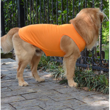 T-shirt em branco da roupa do cão do cachorrinho camiseta