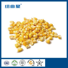 High quality freeze dried sweet corn