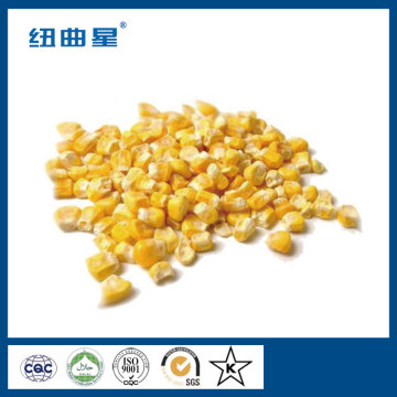 High quality freeze dried sweet corn