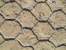 Galvanized Hexagonal Wire Netting Green 50mm with PVC Coate