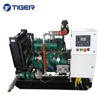Convenient Home Use 10KVA LP Gas Generator