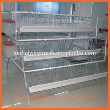 Chicken Cage Mesh/Egg Chicken Cage/Broiler Chicken Cage