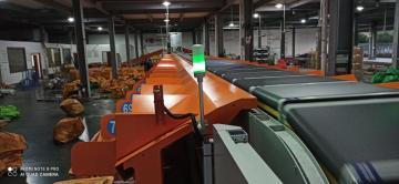 Automatic Sorter For Express