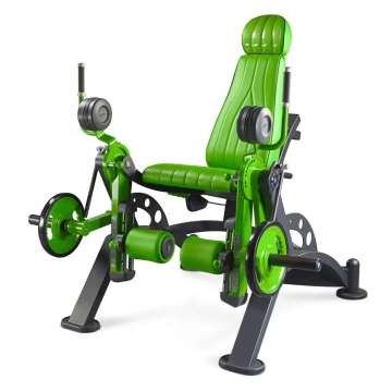 Alternate Leg Extension Machine