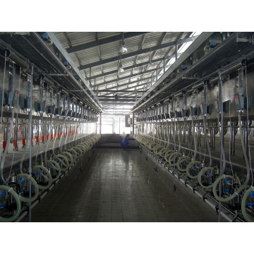 Parallel quick-release type milking hall