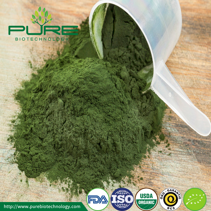 عالية الجودة سبيرولينا العضوية مسحوق 5 High Quality Organic Spirulina Powder5