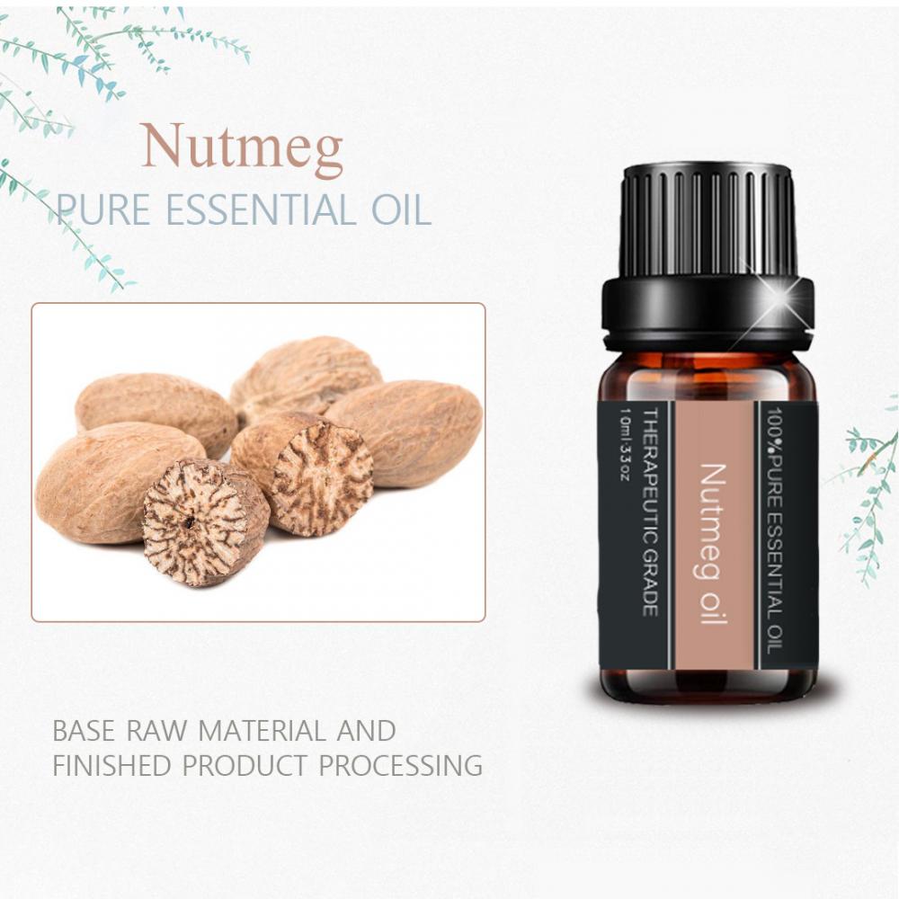 Premium Quality Nutmeg Essential Oil For Skin Aromatherapy