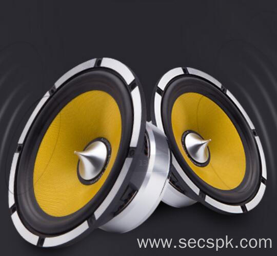 High Quality 6.5 Inch Car Speaker