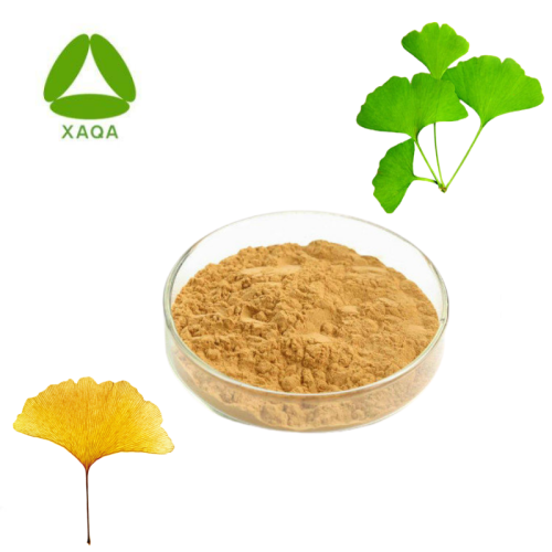 Ginkgo biloba extrait la médecine en poudre en vrac biologique