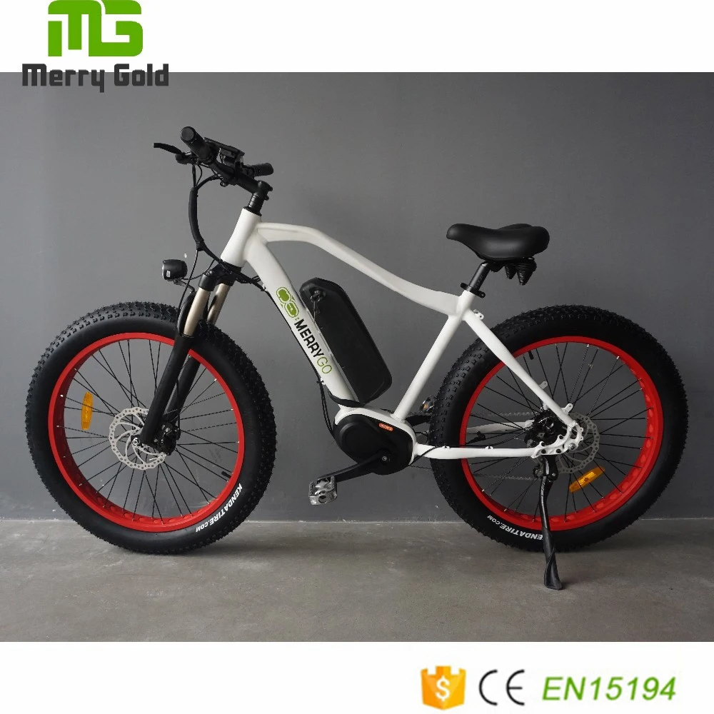 En15194 Approved Middle Drive Motor Electric Bicycle