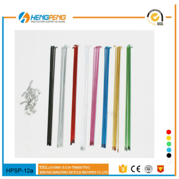 Colorful bicycle spokes