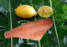 Red fish fillet