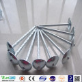 Factory price electro galvanized Q195 umbrella roofing nail