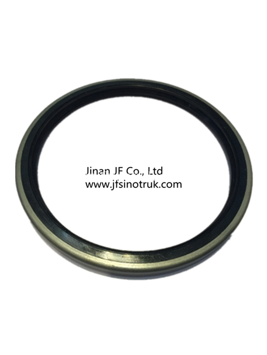 VG1246010005 VG10470110050 61500010100 Howo Oil Seal