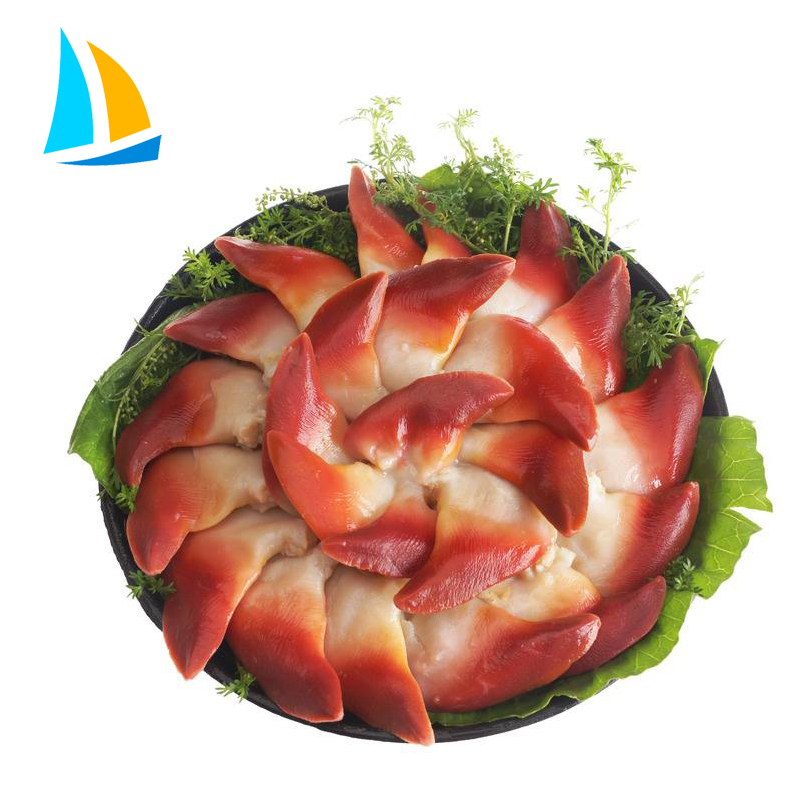 Wyszukiwarka arktycznego małży hokkigai