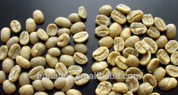 Fresh arabica green coffee bean
