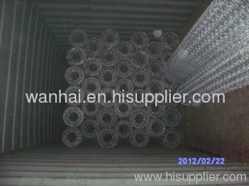 Double Twist Hexagonal Woven Wire Netting 