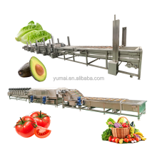 1000kg Tomato Washing and Drying Line: Brushing, Washing, and Drying Equipment