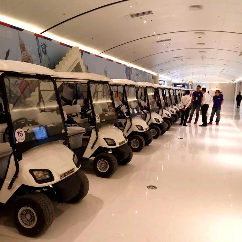8 Passenger Electric Golf Cart Trojan Battery