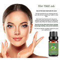 body shop tea tree oil spray undiluted