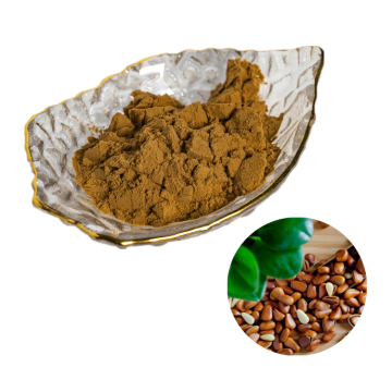 manufactory suppy natural pine nut seed extract /pinus koraiensis extract powder