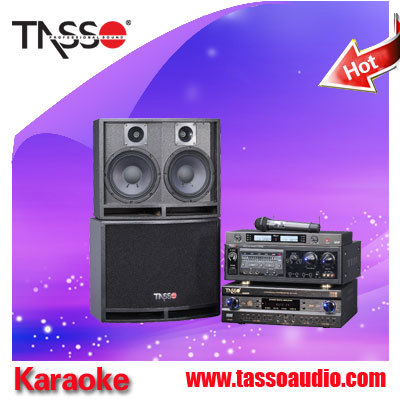 Wholesale Karaoke Speaker (PA system)
