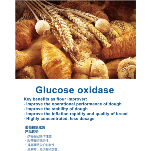 Glucose -oxidase -enzym van de voedselkwaliteit voor bakzymen