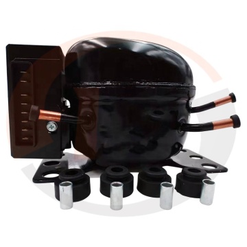 Refrigeration Compressor Manufacturers for BD250GH.2 Model - R134a Compressor Parts