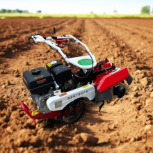 Mini 7Hp/8Hp Soil Tilling and Hoeing Garden Cultivator