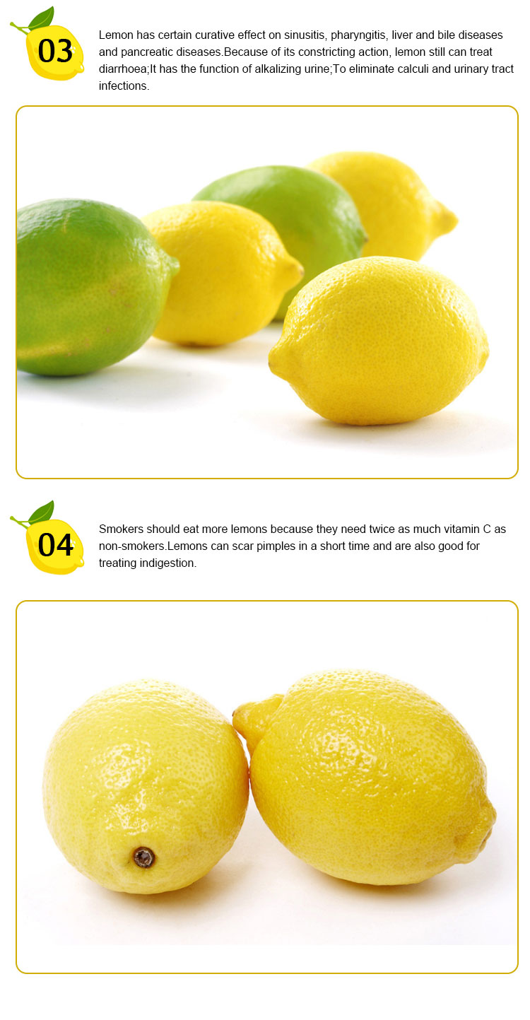 China Wholesale High Quality Fresh Lemon Fresh Citrus Fruit For Sale