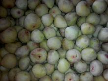 frozen foods frozen fruits frozen figs