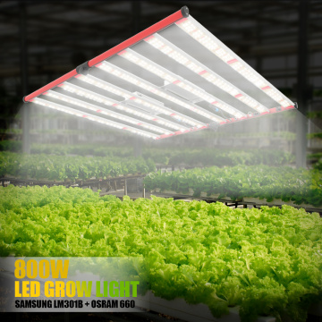 Utilisation intérieure LED 800W Cultive de jardin hydroponique léger