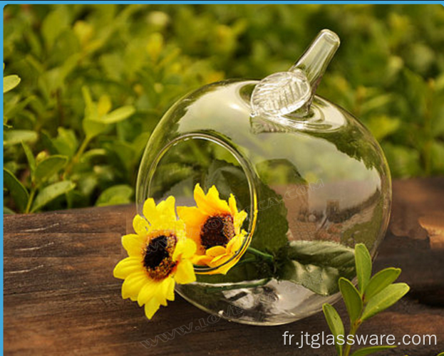 Terrariums Airplant en verre transparent soufflé à la bouche