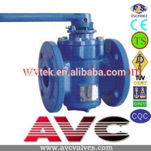AVC Eccentric Plug Valve